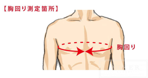 胸回り測定箇所イラスト