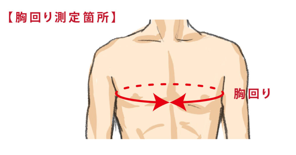 胸回り測定箇所イラスト