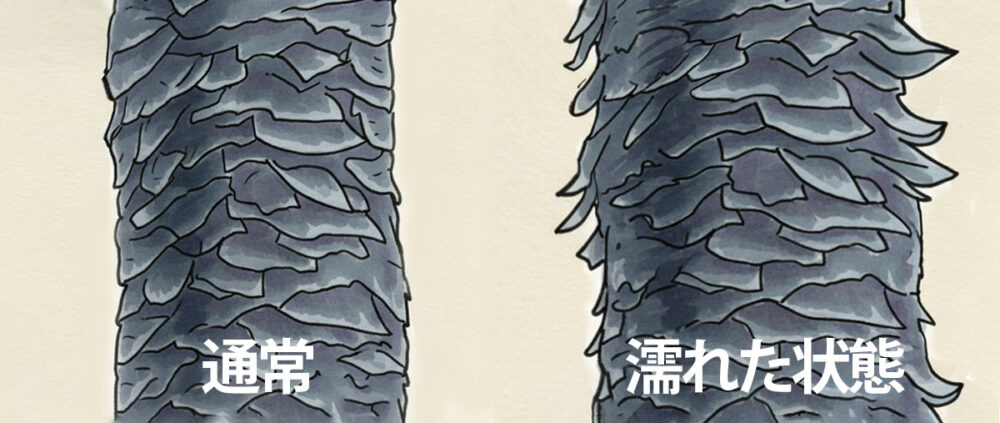 ウールのスケール