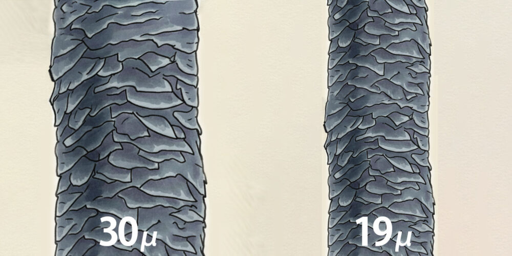 繊維の細さ比較