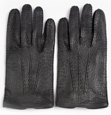 デンツペッカリー外縫い